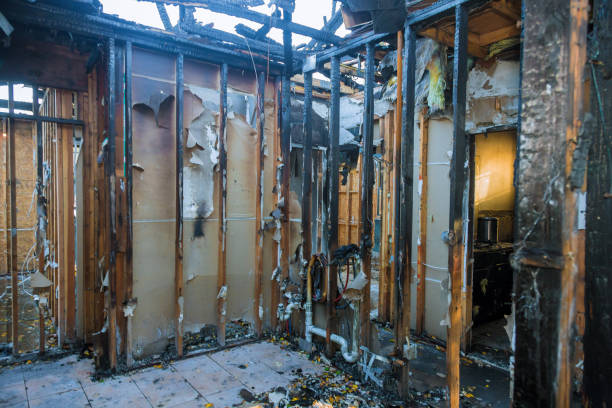 Professional Fire Damage Removal technician working in West Carson, CA